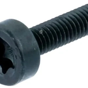 Snabb leverans Skruv